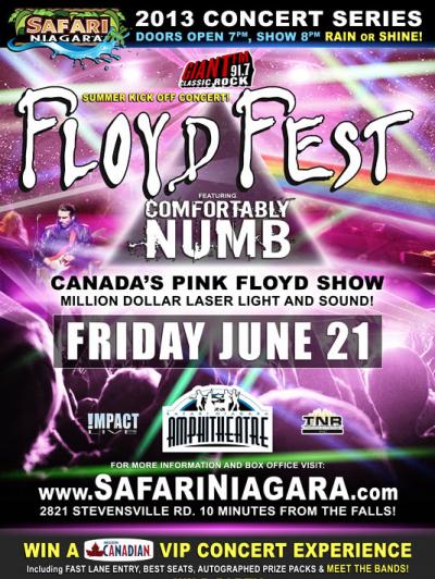 FLOYD FEST Featuring COMFORTABLY NUMB