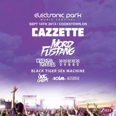 ELECTRONIC PARK MUSIC FESTIVAL
