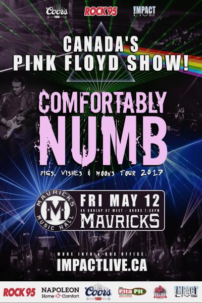 COMFORTABLY NUMB - Canada's PINK FLOYD Show!