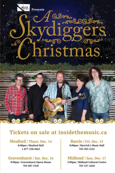 A Skydiggers Christmas!